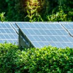 Sustainable Financing and Net Zero