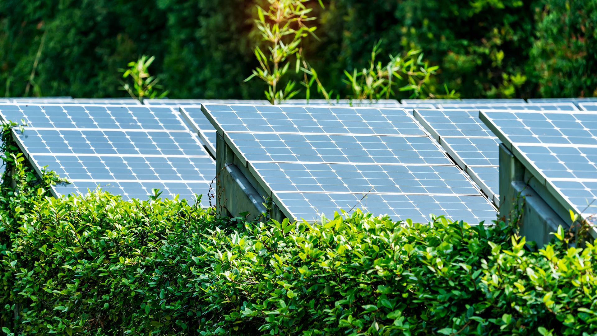 SGX-NUS Case Competition 2022: Green Badge