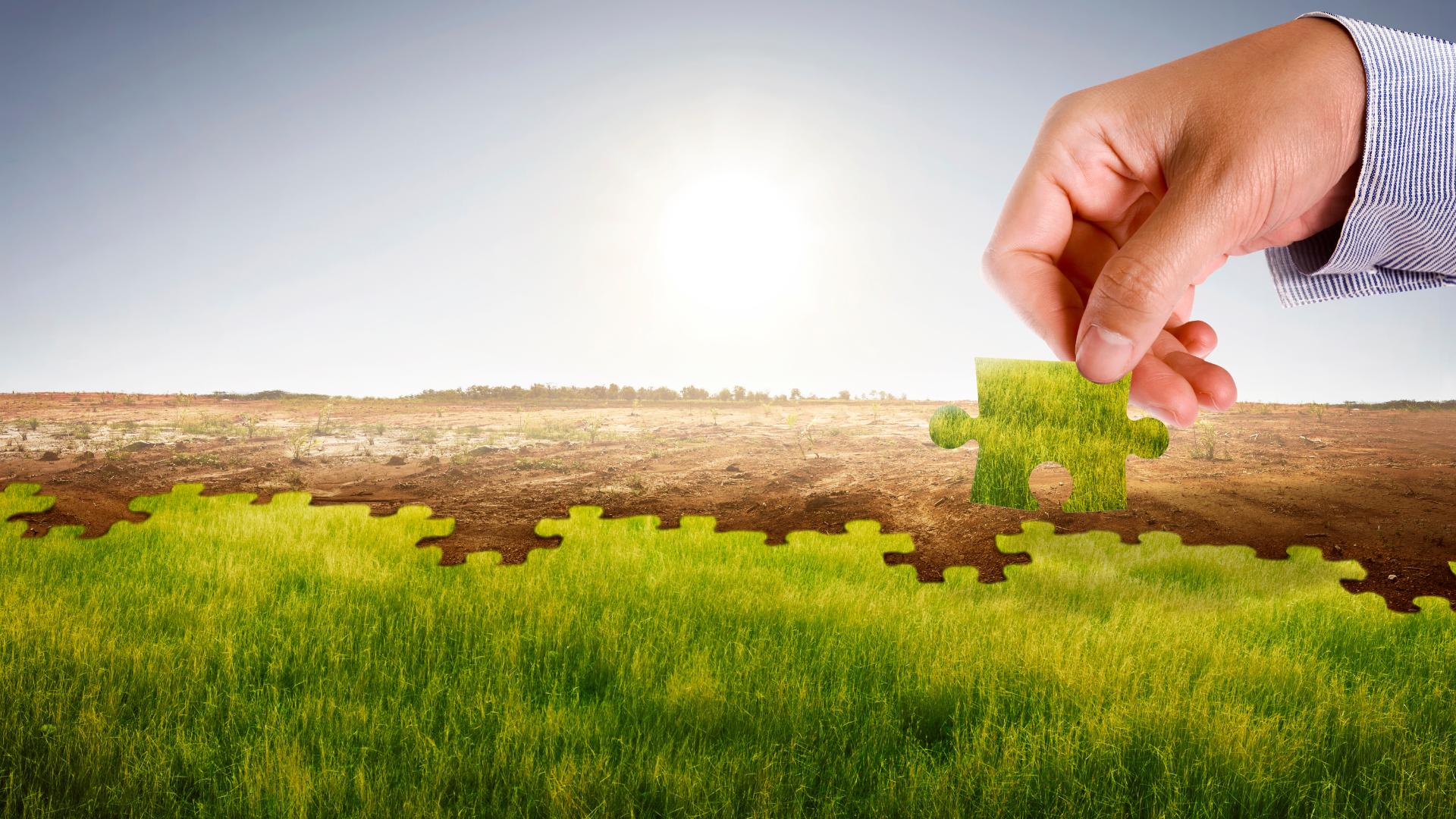 Learnings from the Field