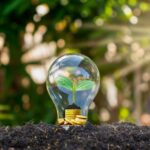 Learnings from the Field