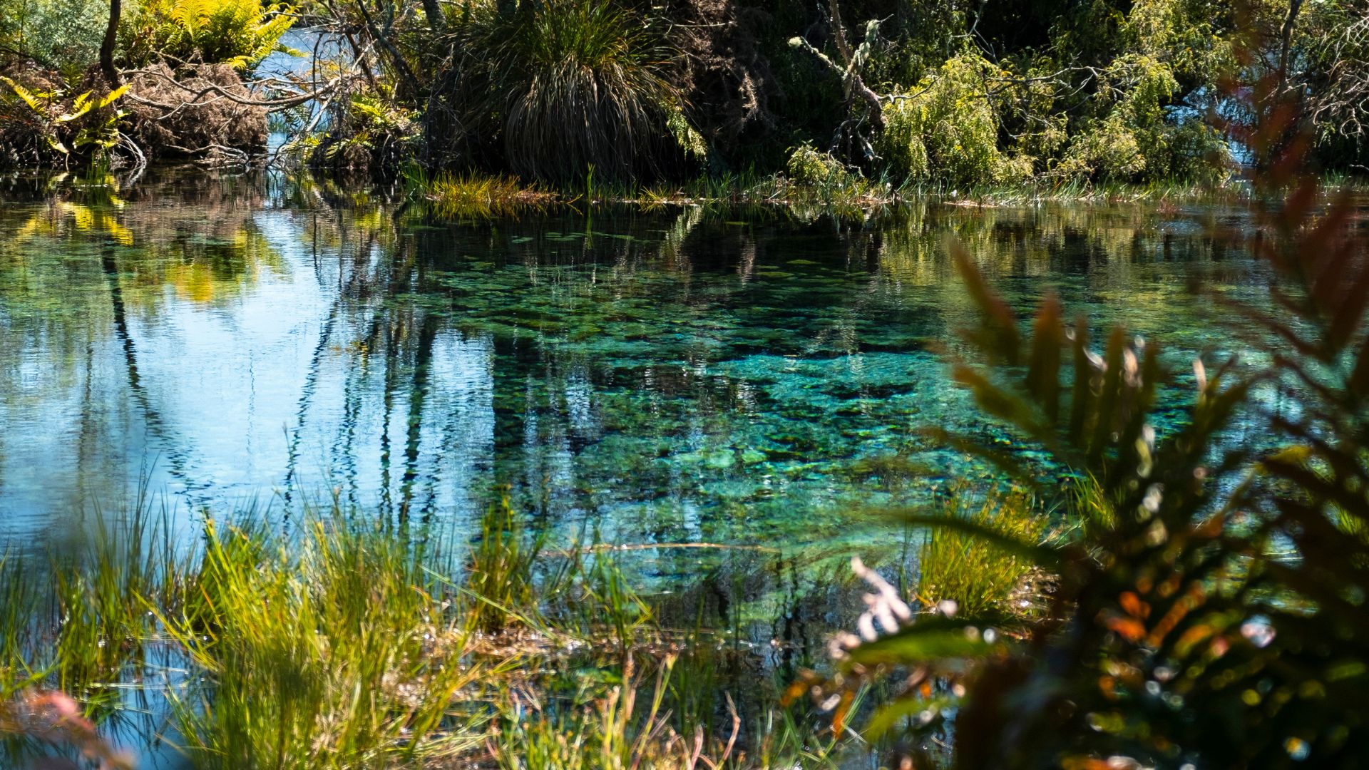 Overview of Sustainability in BOS