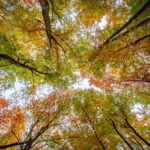 SGX Group : Creating a Sustainable Financial Ecosystem