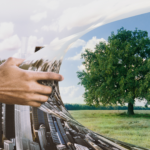 The Sustainable Development Goals in a telecoupled world