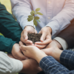 Introduction to the Carbon Market