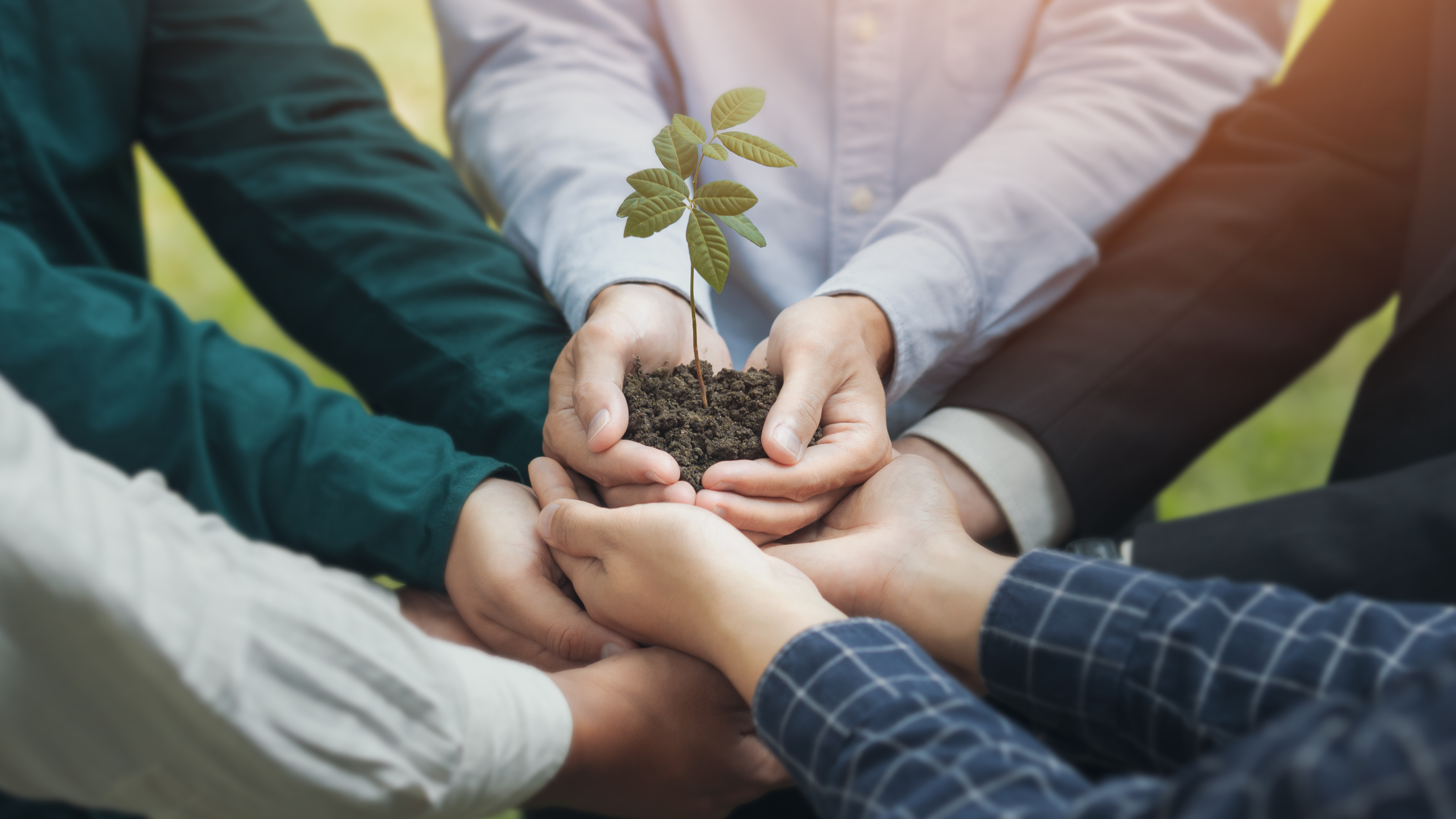 Introduction to the Carbon Market