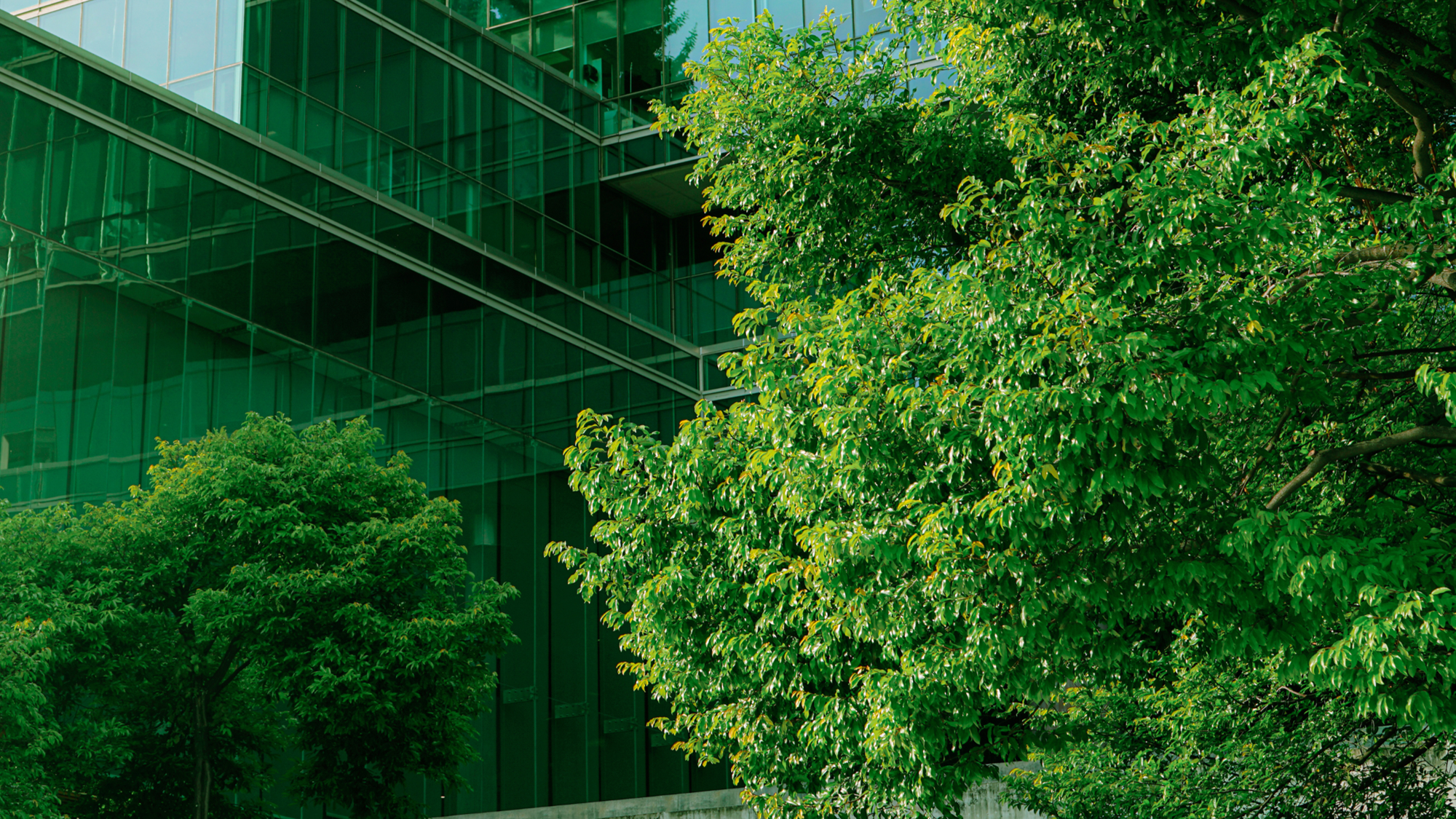 NUS Sustainability Connect 2023 - Masterclass