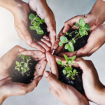 KPMG ESG