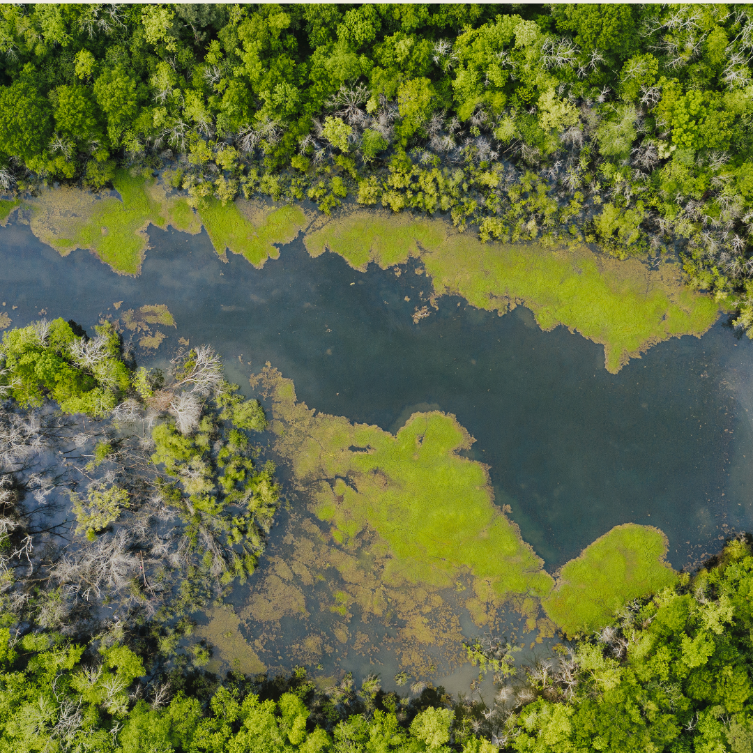 Sustainable & Transition Investing at BlackRock