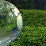Using valuations of environmental resources in policies