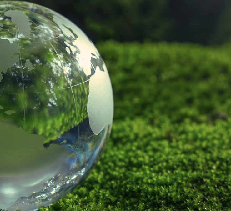 Using valuations of environmental resources in policies