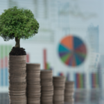 BES Symposium on Futures Sustainability 2024: The Future of Green Finance
