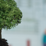 Accessing Private Markets and Sustainable Investments
