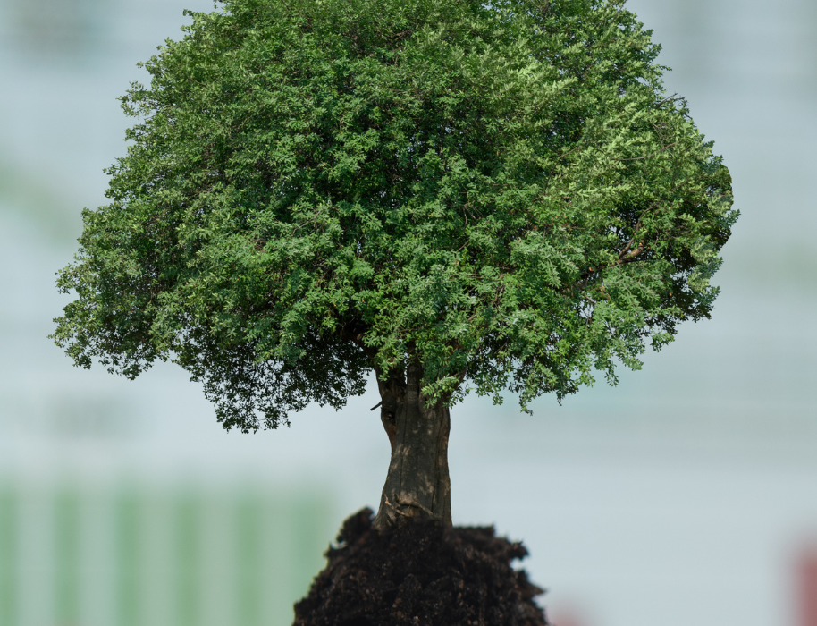 Carbon Accounting for Enterprises