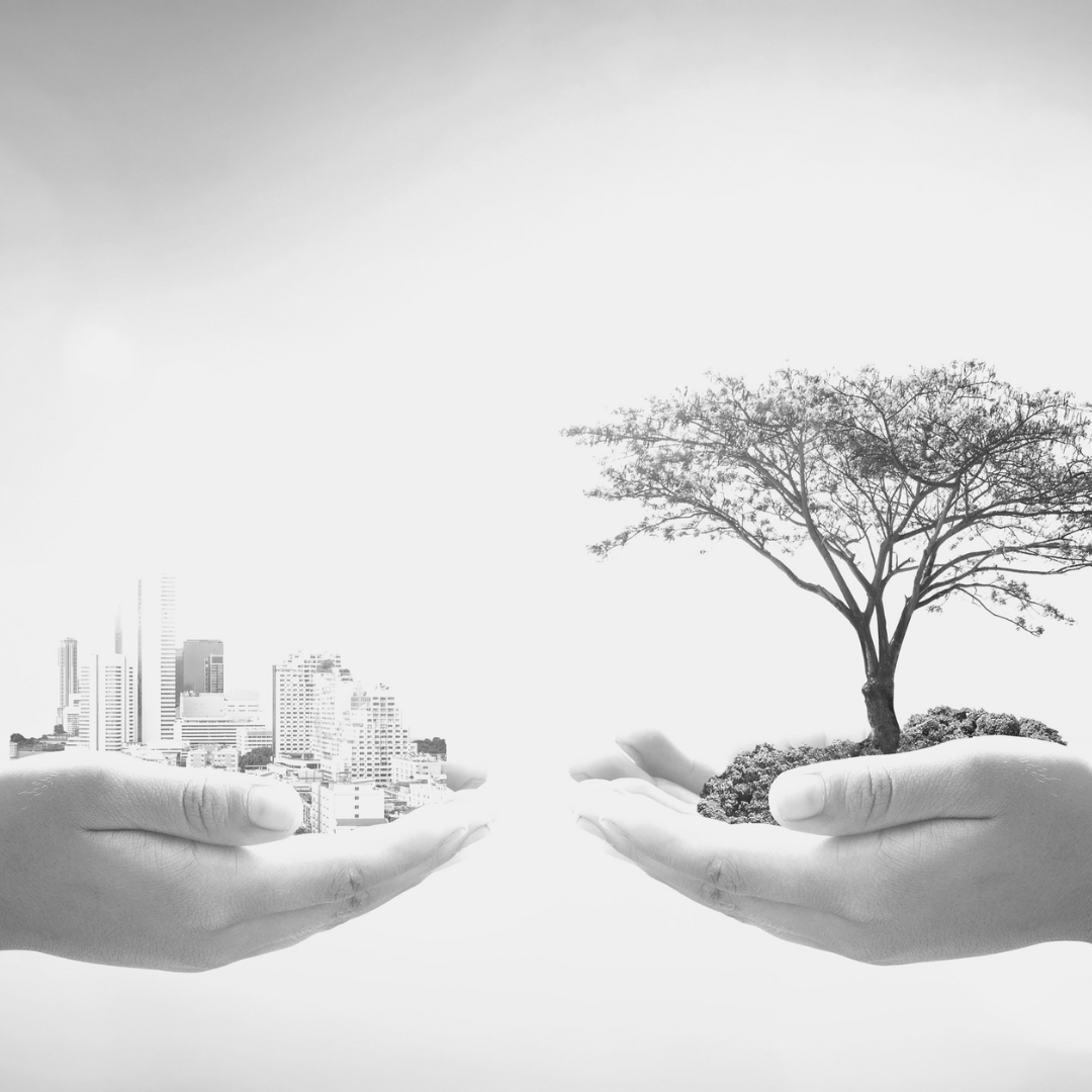 Adding Purpose to Enhance the Triple Bottom Line: Creating Strong Business Value