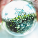 Enhancing Trust in Green Finance