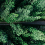 From Wall Street to the Jungles