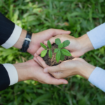 SGX Group : Creating a Sustainable Financial Ecosystem