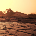 Climate Finance