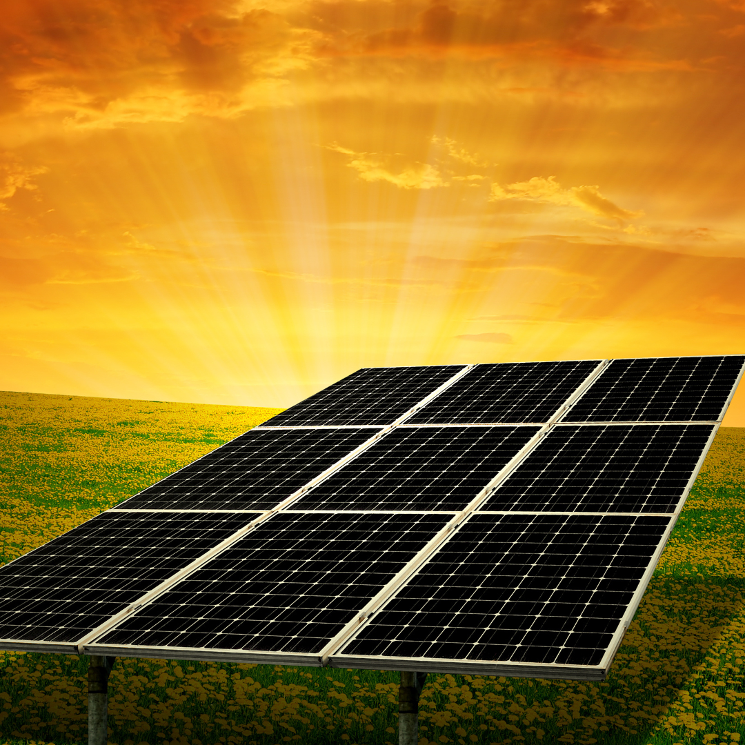 Extrapolative Belief and Financial Decisions: Causal Evidence from Renewable Energy Financing