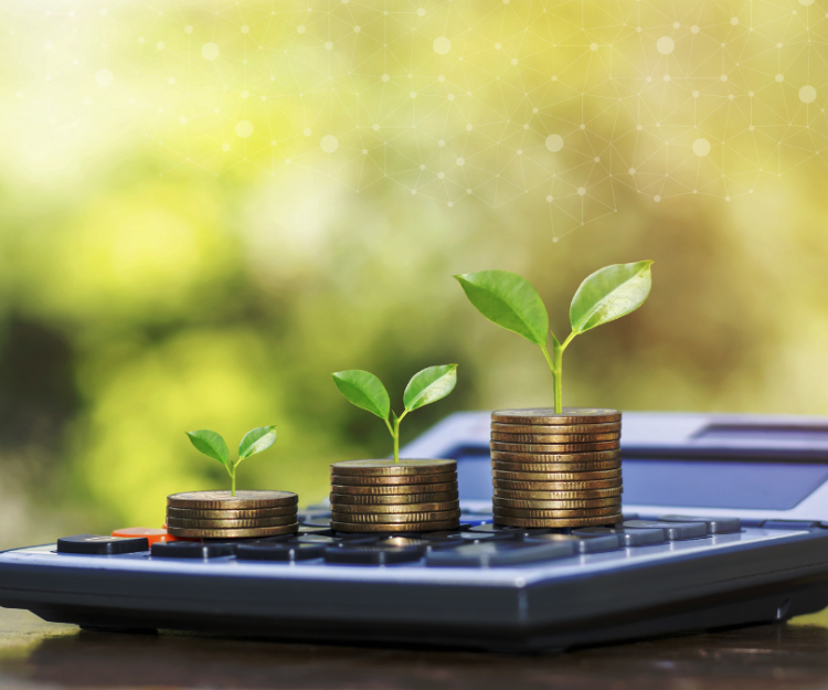 Carbon Accounting for Enterprise