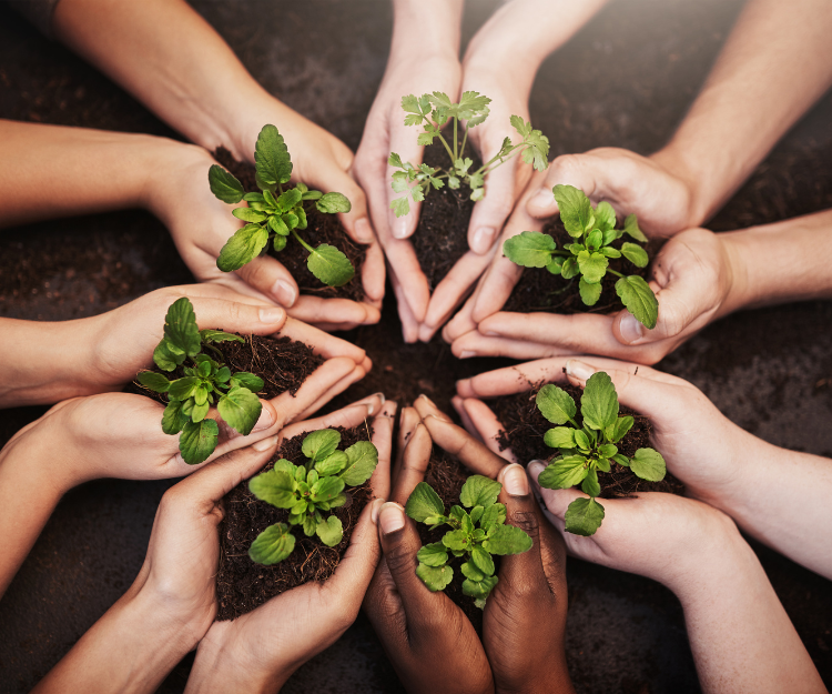 Financial Valuation of Social & Environmental Impact