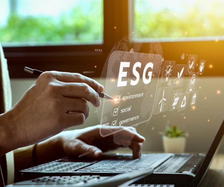 Sustainability Reporting and Governance