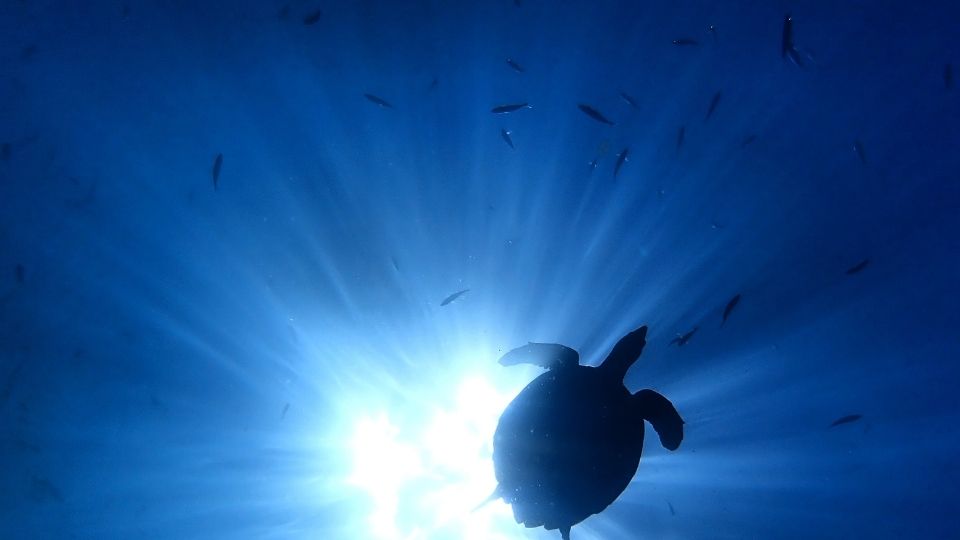 SGFIN Research Conference on Sustainability 2026