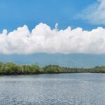 Inaugural Forum on Nature in Global Supply Chains