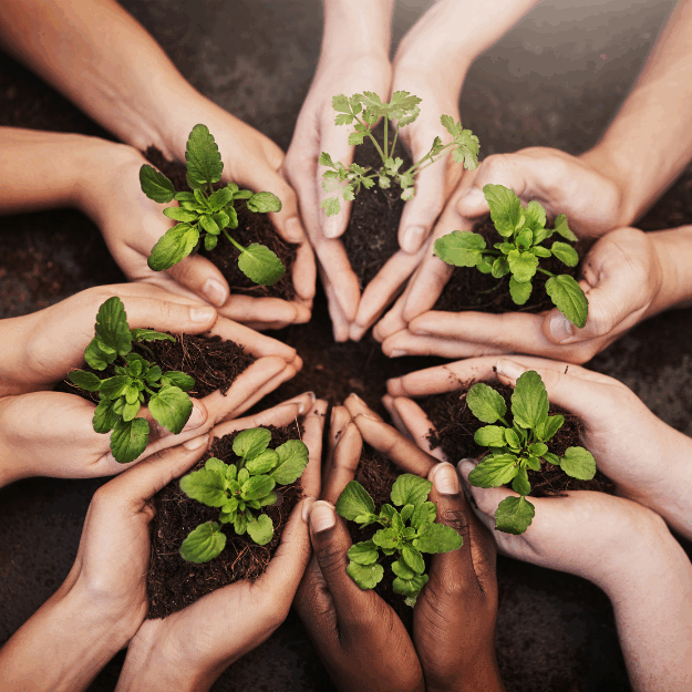 Financial Valuation of Social & Environmental Impact