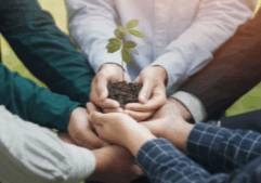 sgfin-04-professional-programmes