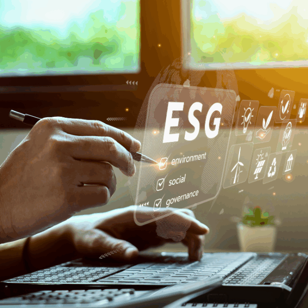 Sustainability Reporting and Governance