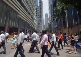 cbd