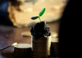 moneyplant